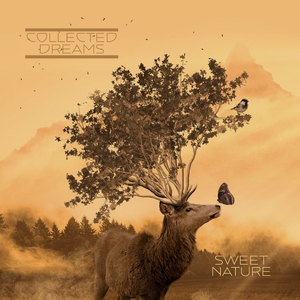 成年人在线视频网站
